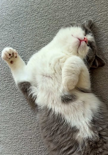 Understanding Benny's Dramatic Lying Habits