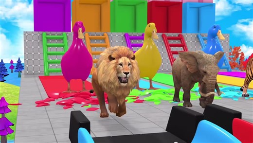 Funny 3D Animals | USA Animals Compilation