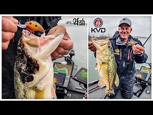 How to Catch Bass on Crankbaits | Spring Transition