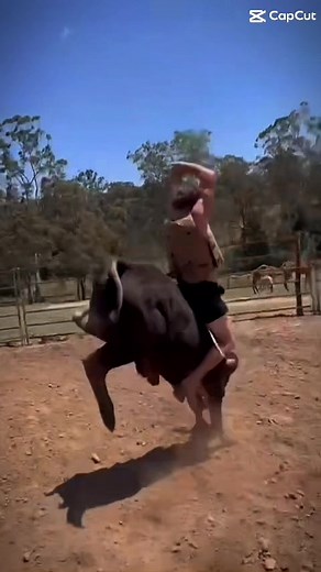 Whip lash #blowthisup #viral #foryoupage #foryou #fyp