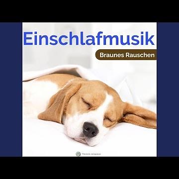 Nur ein kleines Schläfchen | Entspannende Musik für Hunde