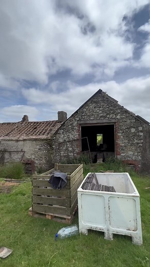 Derelict House Renovation Journey: From Ruin to Renewal