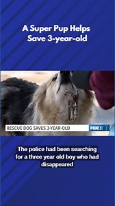 A Super Pup Helps Save 3-year-old