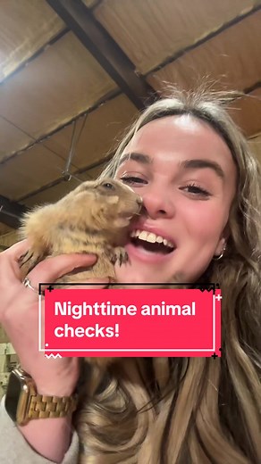 Nighttime Animal Checks in the Barn