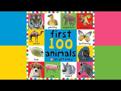 First 100 Animals By Roger Priddy | Read Aloud | Story Book | Hoots and Tales