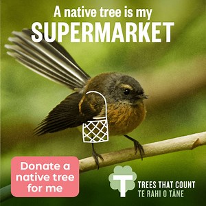 Boost our biodiversity. | Trees That Count