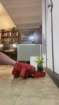 elmo world the kids song