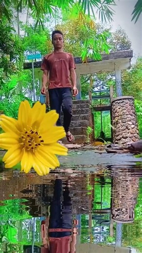 cinematography Water reflection flowers #cinematic #cinematography