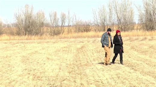 What happened to the Food for Peace program?