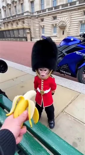 Exploring the Future of AI with Smart Bots