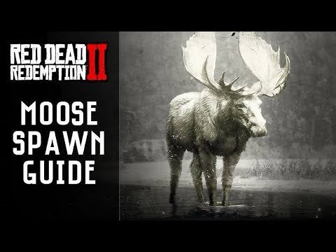 RDR2 Moose Spawn Location (WORKS EVERY TIME) Guide For Dummies. Red Dead Redemption 2