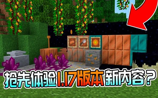 教你提前游玩MC1.17版本？新内容抢先玩！