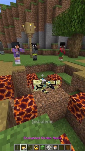 Freezing Time to SAVE OUR Minecraft Friends 🙏😭