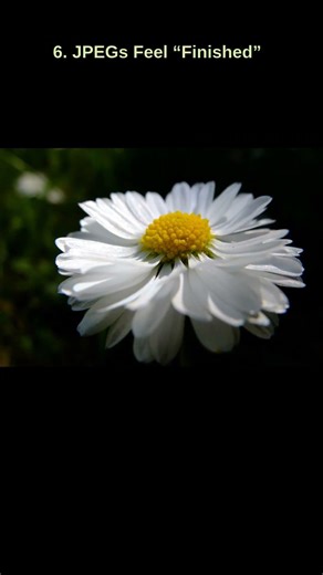 Why Fuji X10 photos stand out! #fujifilm #x10 #fyp