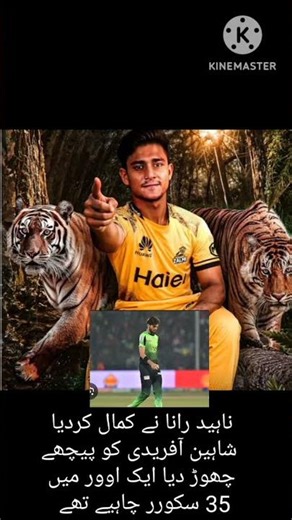 Bangladeshi cricketer ek 35 score rok ker 3 wickets ly li#shorts #trend #foryou #highlights #update