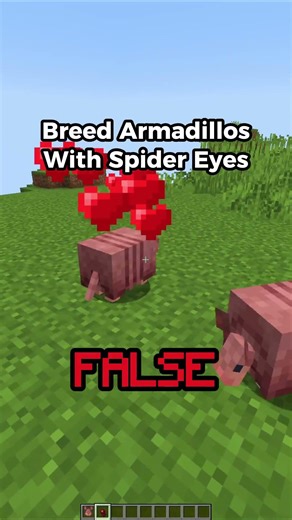 Minecraft Mythbusting⚠️​