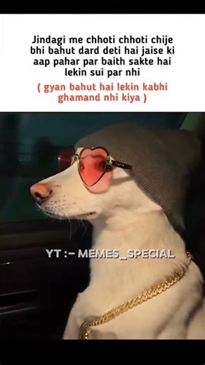 Ghamand #explore #viralmemes#aestheic#trendingshorts#instamemes#catsmemes#ytshorts