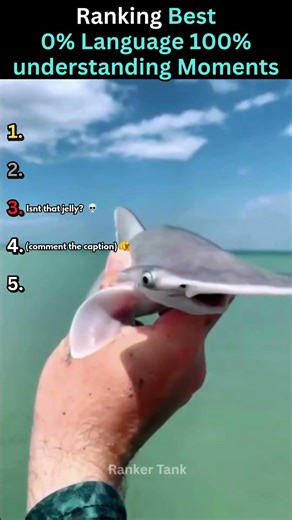 Ranking BEST 0% Language 100% Understanding Moments 🤣