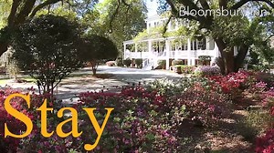 From fine dining and down-home, Southern eateries, to cozy accommodations and charming shops, experience the past and enjoy the present when you visit historic Camden. Come discover what it means to be Classically Carolina as you Eat, Shop, Stay, Play Camden, SC! #DiscoverSC #CamdenSC #VisitCamdenSC #ClassicallyCarolina #DiscoverCamden #History | Discover South Carolina