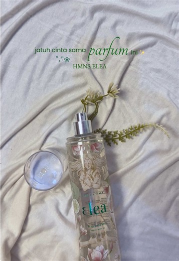 HMNS Perfume review: best parfum recommendations 2026