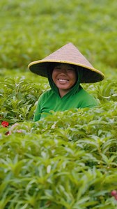 Enliven your senses in Bali, a world of striking natural beauty, captivating culture and intoxicating flavors. Our Multi-Adventure trip blends biking, hiking, rafting and snorkeling for an unforgettable active journey few travelers get to experience. Learn more here: https://backroadsgo.com/4i8iABL | Backroads