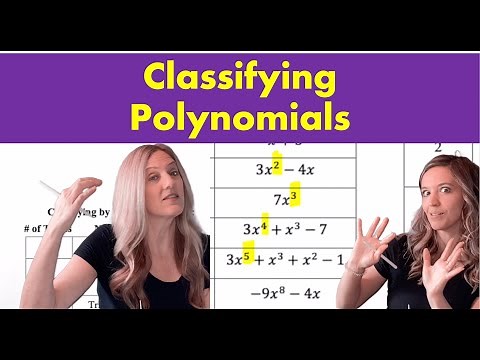 Classifying Polynomials and Standard Form