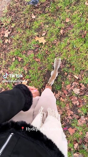 Fearless Squirrels of Hyde Park: A Travel Insight