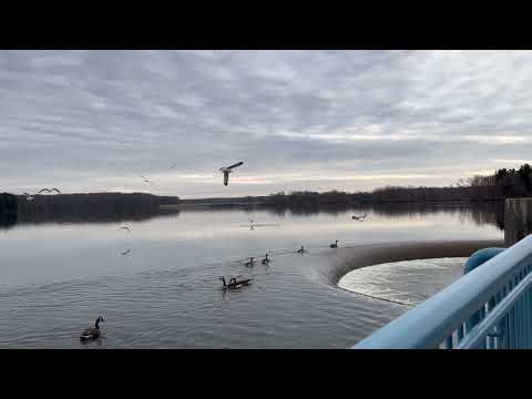 Pymatuning SP Spillway Linesville PA