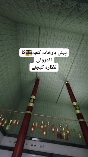 119K views · 10K reactions | ❤️❤️ . . . . . . . The Evolution of...