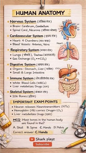 99% Students Miss This in Human Anatomy 😱 | One Page Notes #studycircle #studynotes