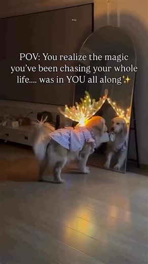 That moment when it finally clicks. You were never missing the magic; You were the magic all along. ✨ The power you’ve been searching for isn’t out there — it’s been waiting quietly within you. Awakening happens the moment you remember who you truly are. 🌙 💫 Drop a “❤️” if you feel this. 🔰 Save this to remind yourself when you forget. Follow @project.yourself for more soul reminders. | Project Yourself