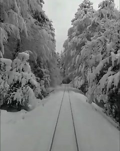 4.7M views · 4.7K reactions | Train journeys from around the world   | STUDENTbible | Facebook