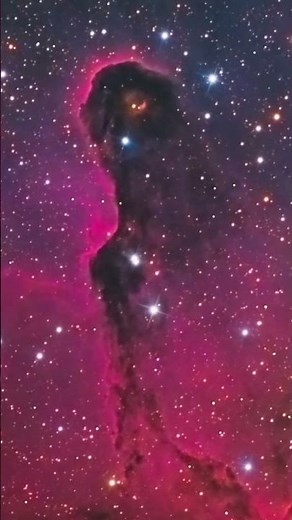 Nebulosa proboscide di elefante #astrofotografia #astronomia