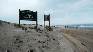 Hair believed to be from Gilgo Beach suspect's wife found near victims