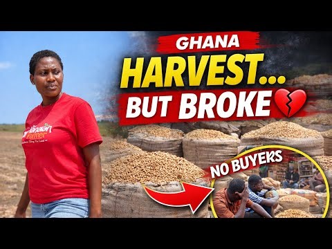Why are farmers in Ghana losing money after harvest? This is the truth nobody is talking about 😳