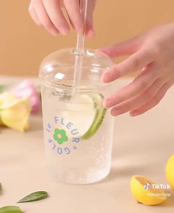 projectsip on TikTok