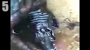 Top 5 REAL Werewolf Caught on Tape