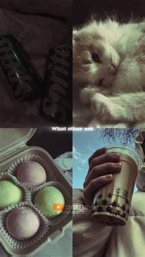 what armies see✨🦋#youtube#btsedits