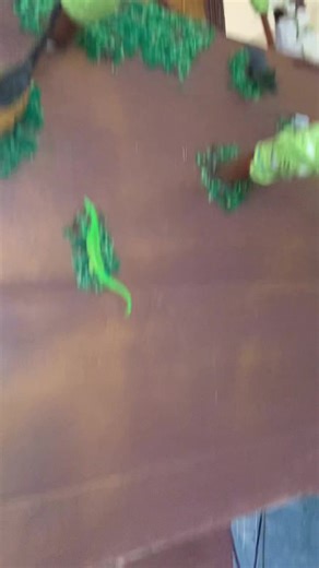 Understanding the Geologic Time Scale: Key Concepts