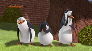 Pingwiny z Madagaskaru - SE01E19 Byłem Żywym Trupem - Operacja Żądło