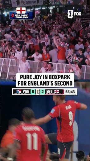 England fans went crazy after Harry Kane's goal 🥳