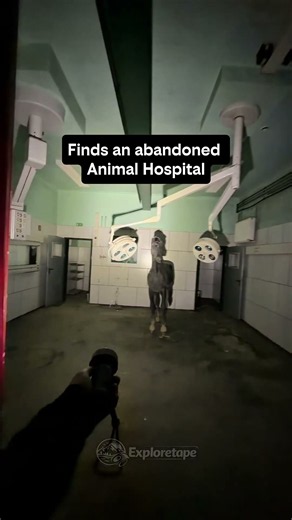 This is what we found in animal hospital #abandoned #abandonedhospital