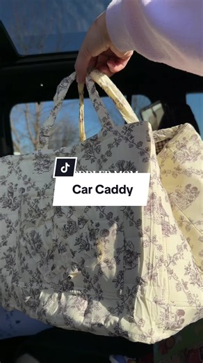 Essential Car Caddy Ideas for Busy Moms