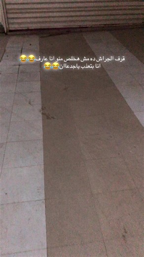 معاناة الخروج بالعربية في الشتاء