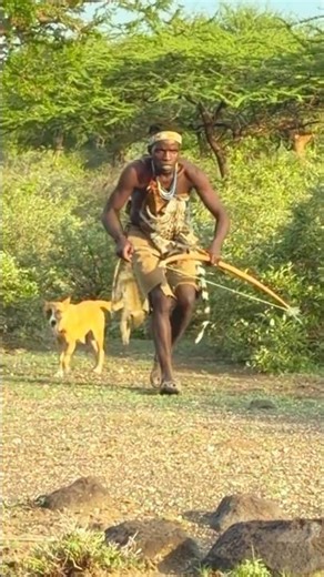 Crazy Encounter: Hunter vs. Baboon😐😐😇😇 #wildlife #shorts