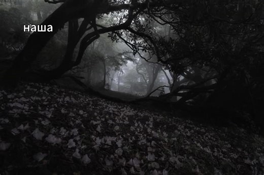 RED LINE MUSIC na TikTok