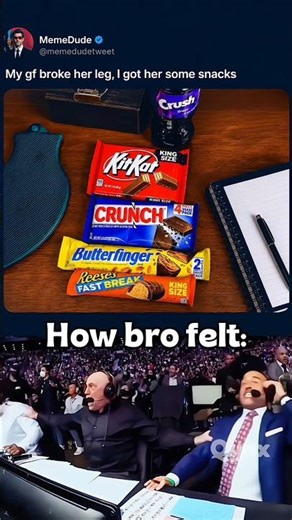 #catmemes 😳