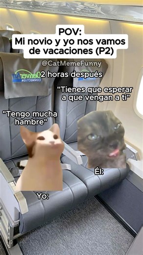 CAT MEME FUNNY 😹 Mi novio y yo nos vamos de vacaciones (P2) #relatable #relationship #cat