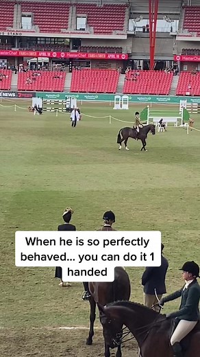 Equestrian Performance: Horse and Rider Showcase Skills