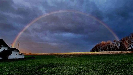 Joyful moments | PhotoLink Library